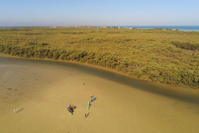 Kayak Experience in the Mangroves of Holbox Island - Starting Point and Logistics in Holbox Island