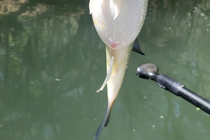 Kayak FISHING Down The Verde River Full Day 20 min from Sedona - What’s Included in the Kayak Fishing Trip