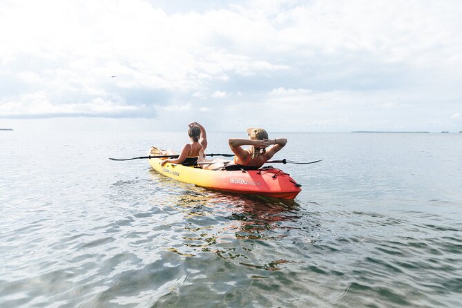 Kayak + Guided Snorkel & Morning Sail hosted by Honest Eco - Discover Key West’s Mangrove Ecosystems on a Guided Boat Tour