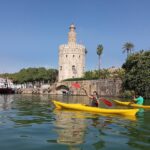 Kayak Guided Tours - What the Kayak Experience Includes