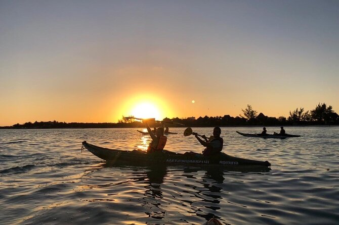 Kayak Mangroves Sunrise Experience - Meeting Point and Transport Logistics