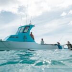 Kayak, Snorkel, and Surf with Turtles in Honolulu - Starting Point and Practical Details in Waikiki