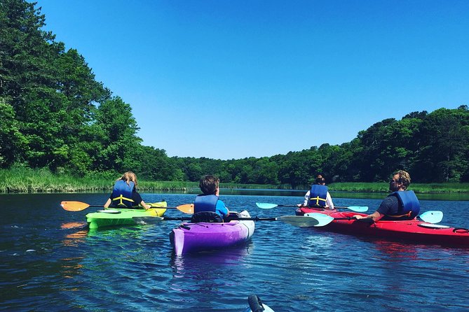 Kayak The Creek Nature Tour - The Location: Scorton Creek and the Great Marsh Ecosystem