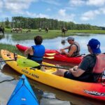Kayak Tour along Assateague & Chincoteague Island, Virginia - Wildlife Encounters: Ponies, Birds, and Crabs