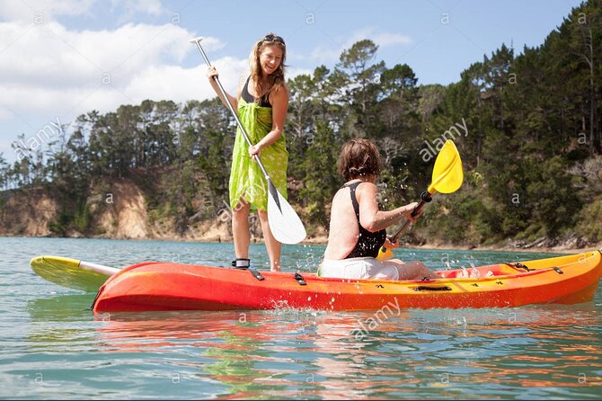 Kayak Tour and Rental - What to Expect During the Tour