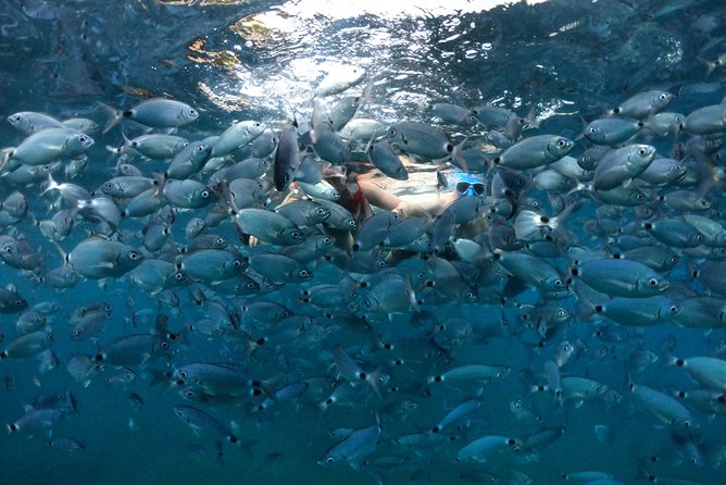 Kayak tour in Pula to Valley of Tears/free drinks+photos included - Exploring Pula’s Coastal Waters by Kayak