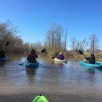 Kayak Tour Of The Honey Island Swamp and Backwaters - Exploring Honey Island Swamp’s Water Trails and Wildlife