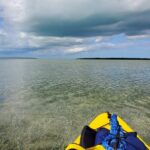 Kayak Trip, 1 Wet Hike + 2 dry hikes in Everglades National Park - From the First Hike to the Old Growth Mahogany Tree