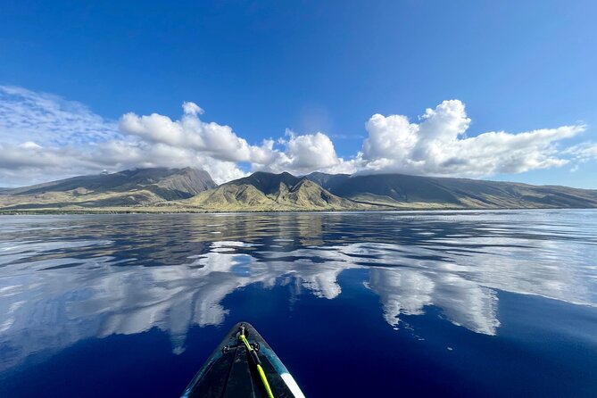 Kayak, Whale Watch, and Snorkel With Optional Photo and Video - The Guide: Friendly, Knowledgeable, and Engaging