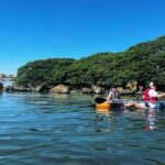 Kayaking Clear through Clearwater - Wildlife Spotting: Dolphins, Manatees, and More