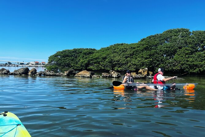 Kayaking Clear through Clearwater - Wildlife Spotting: Dolphins, Manatees, and More