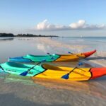 Kayaking Tour Through the Mangroves in Isla Holbox - Starting Point and Transportation Logistics