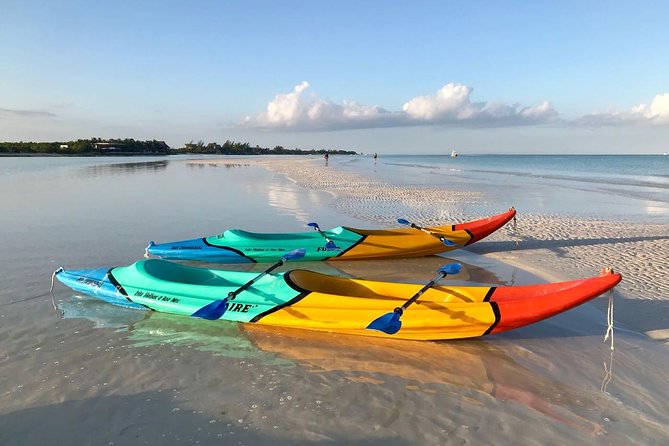 Kayaking Tour Through the Mangroves in Isla Holbox - Starting Point and Transportation Logistics