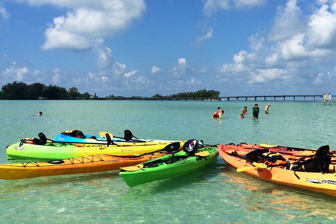 Kayaking with coastal wildlife in Sarasota Bay - The Route: From Bishops Bayou to Sarasota Bay