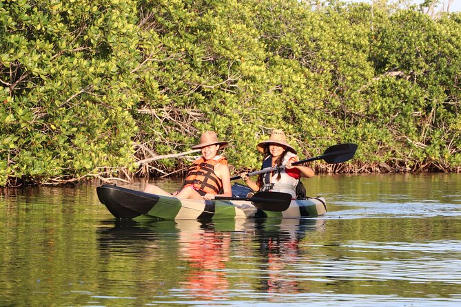 Kayaks at the Mangroves Lagoon Ecosystem from Cancun - The Kayaking Itinerary and Experience