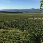 Kazanlak Full-Day Tour from Sofia - Exploring the Valley of the Thracian Kings