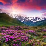 Kazbegi-Ananuri-Gergeti Private Tour - Exploring the Ananuri Fortress Complex