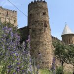 Kazbegi Day Trip (Jinvali, Ananuri, Gudauri, Gergeti church) - Jinvali Reservoir: Georgia’s Hydroelectric Marvel