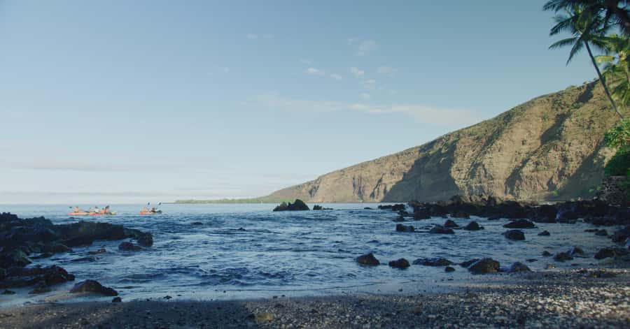Kealakekua Bay: Guided Kayak & Snorkel Adventure - Starting at Kona Boys in Kealakekua: Your Check-In Spot