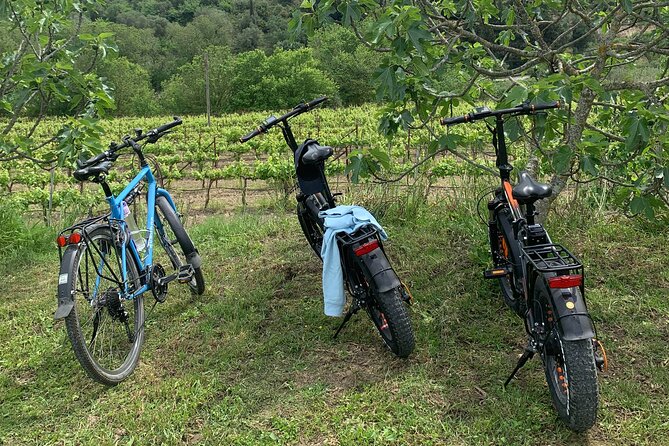 Kefalonia Wine Tour on E-Bikes - Exploring the Vineyards of Paliki Peninsula