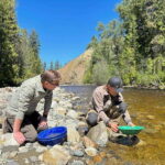 Kelowna E-Bike Gold Panning Expedition - Exploring Scenic Canyon Regional Park on Electric Bikes