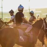Kentucky Derby Museum - Admission with Guided Track Visit - What the Exhibits Showcase: Derby History and Culture