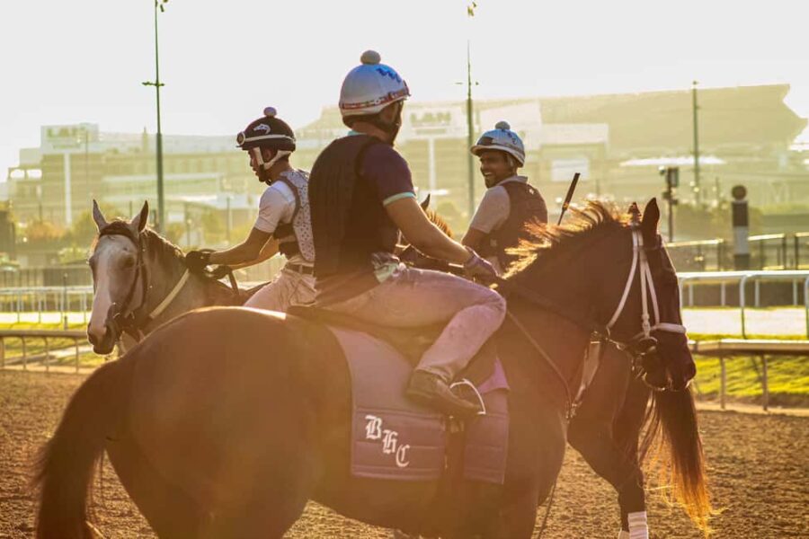 Kentucky Derby Museum - Admission with Guided Track Visit - What the Exhibits Showcase: Derby History and Culture