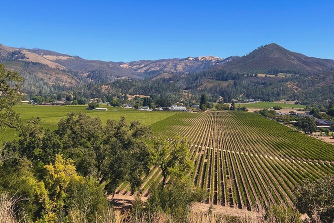 Kenwood Wine Country Electric Trike 3 Hours Tour - Using Eco-Friendly Electric Trikes in Sonoma’s Countryside