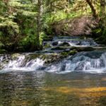 Ketchikan Magical Old-Growth Creek Trek Guided Tour - Scenic Drive to the Forest End of the Road