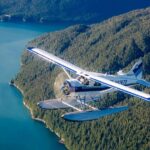 Ketchikan: Misty Fjords National Monument Floatplane Tour - The Floatplane and Aircraft Capacity