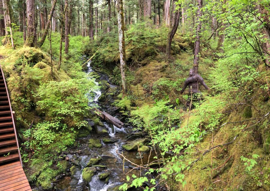 Ketchikan: Tongass Forest Alaska Bigfoot ATV Ride and Hike - Exploring Moss-Covered Tongass Rainforest in Alaska