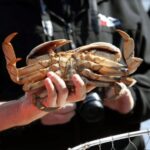 Ketchikan: Wilderness Boat Cruise and Crab Feast Lunch - Departure Point Near the Ketchikan Visitors Bureau