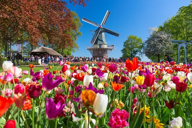 Keukenhof Entry Ticket plus Round-Trip Shuttle Bus from Amsterdam - Starting Point at This is Holland in Amsterdam