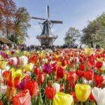 Keukenhof & FlowerFarm Tour From Amsterdam Skip-The-Line tickets - The Convenience of Private Pickup and Transportation