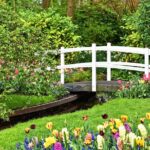 Keukenhof Gardens and Tulips Private Tour from Amsterdam - Convenience and Comfort with Private Transportation