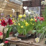 Keukenhof Skip-the-line Tickets: Countryside & Farm Private Tour - Starting Point and Transportation Details