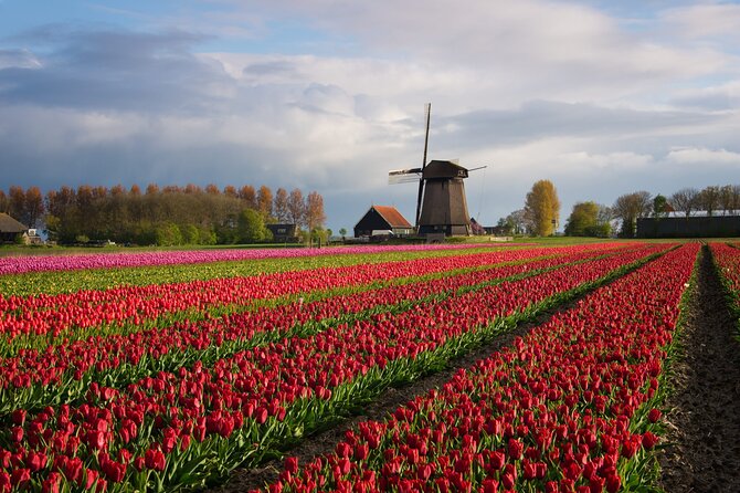 Keukenhof Tulip Garden Tour - Convenience and Comfort with Private Transfers in Holland