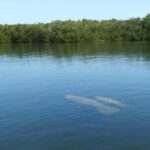 Key Largo: Boat Eco Tour - Meeting Point and Booking Flexibility in Key Largo