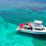Key Largo Snorkeling Tour - rental mask, fins and vest INCLUDED - Scenic Reefs within Key Largo National Marine Sanctuary