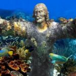 Key Largo Snorkeling Trips & Sandbar Tours - Exploring John Pennekamp Coral Reef State Park