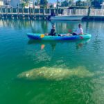 Key West: 2-hour Mangrove Kayak Tour - Key Points