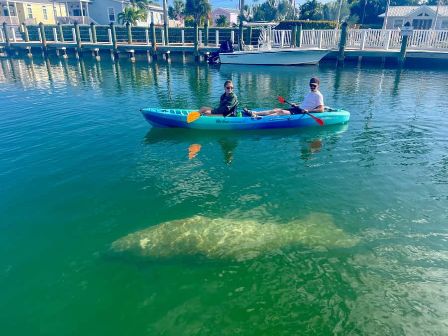 Key West: 2-hour Mangrove Kayak Tour - Key Points