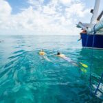 Key West: Afternoon Reef Snorkel Tour with Open Bar - Starting Point and Check-in on Lazy Way Lane