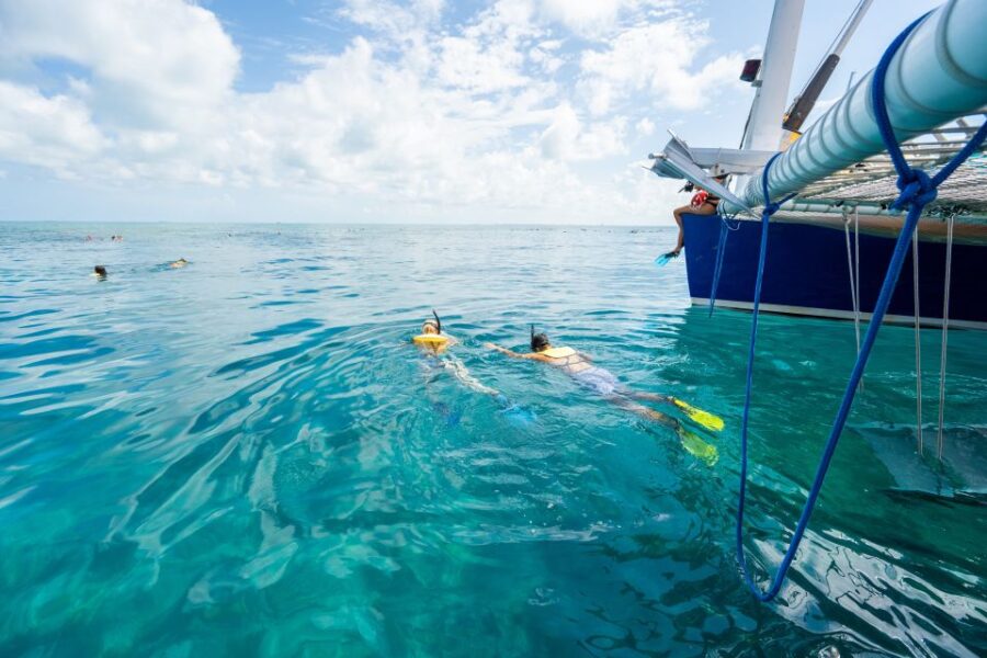 Key West: Afternoon Reef Snorkel Tour with Open Bar - Starting Point and Check-in on Lazy Way Lane