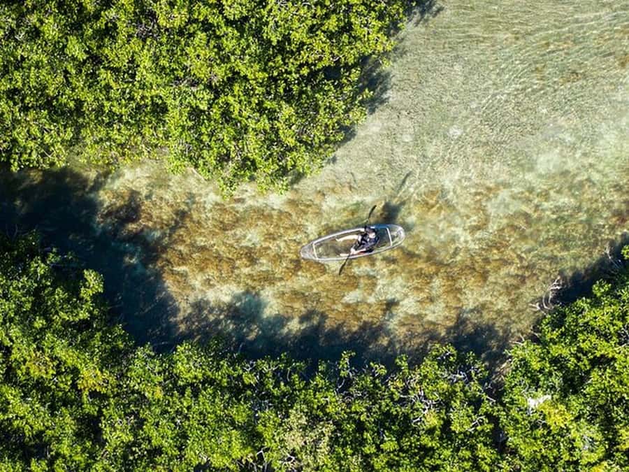 Key West Area: Guided Clear Kayak Eco-Tour - Meeting Point and Departure Details at Sugarloaf Marina