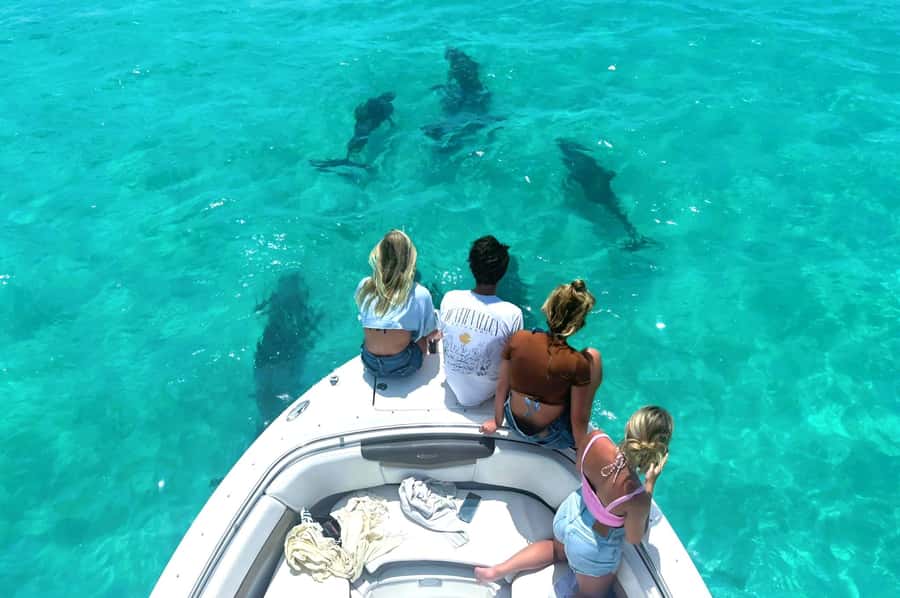 Key West Dolphin & Snorkel Tour - Small Group - Navigating the Itinerary: From Dolphin Watching to Snorkeling