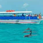 Key West Dolphin Watch and Snorkel Tour - Eco Adventure - The Catamaran Boat: Space for Sun and Shade