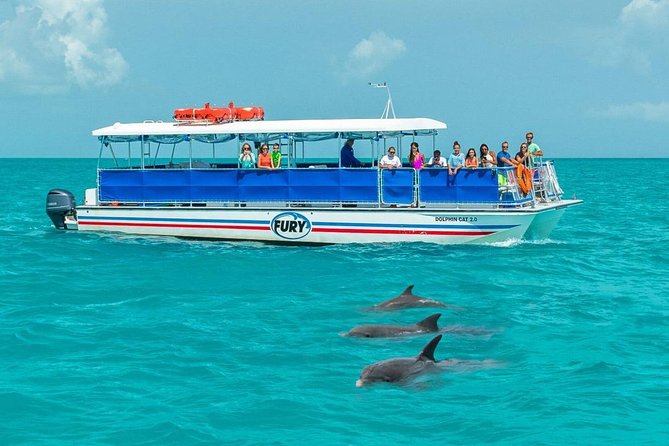 Key West Dolphin Watch and Snorkel Tour - Eco Adventure - The Catamaran Boat: Space for Sun and Shade