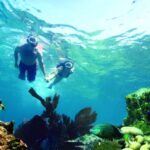 Key West: Dolphin Watching and Snorkeling Eco Cruise Tour - Exploring the Dolphin-Watching Experience