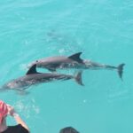 Key West: Dolphin Watching and Snorkeling Sunset Cruise - Departure from Key West and the Sunset One Boat